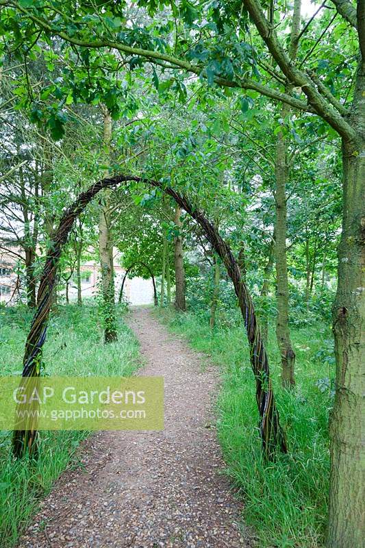 Living willow - Salix - archways turn a gravel pathway into an inviting journey. Chaucer Barn, Norfolk, UK. 