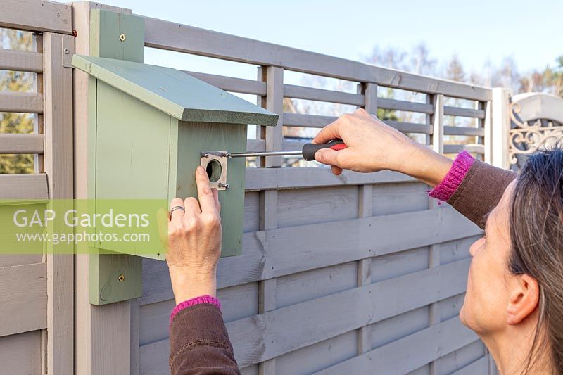 Woman attaching metal guard to bird box entrance with screw driver. 
