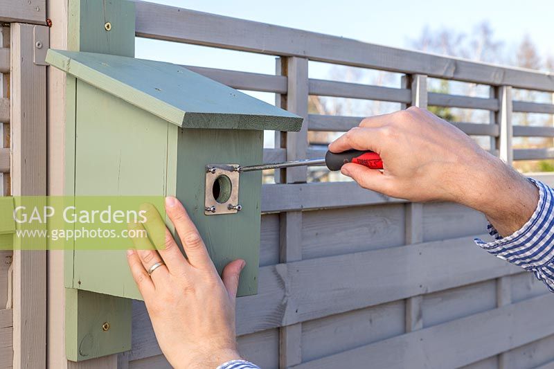 Man attaching metal guard to bird box entrance with screw driver. 