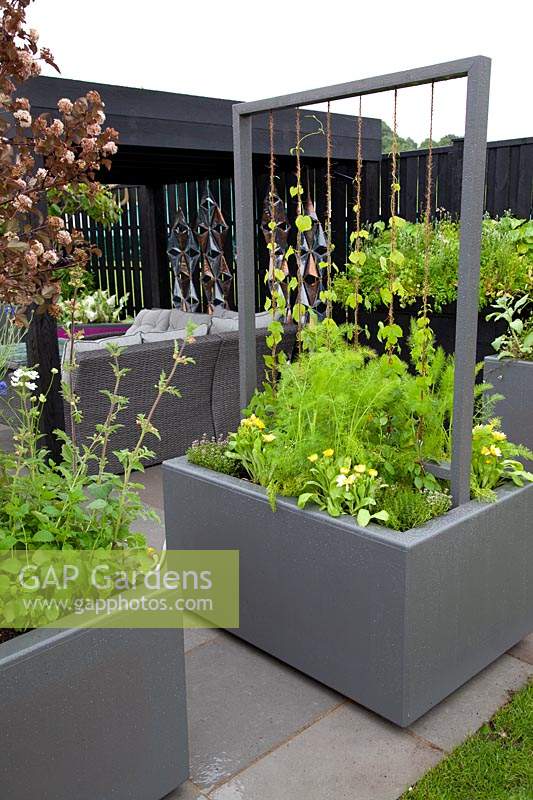 The Moveable Feast Garden - raised beds with supports planted with mixed vegetables and herbs
