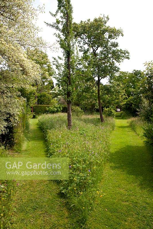 View of the trees and meadow garden with mown paths either side 
