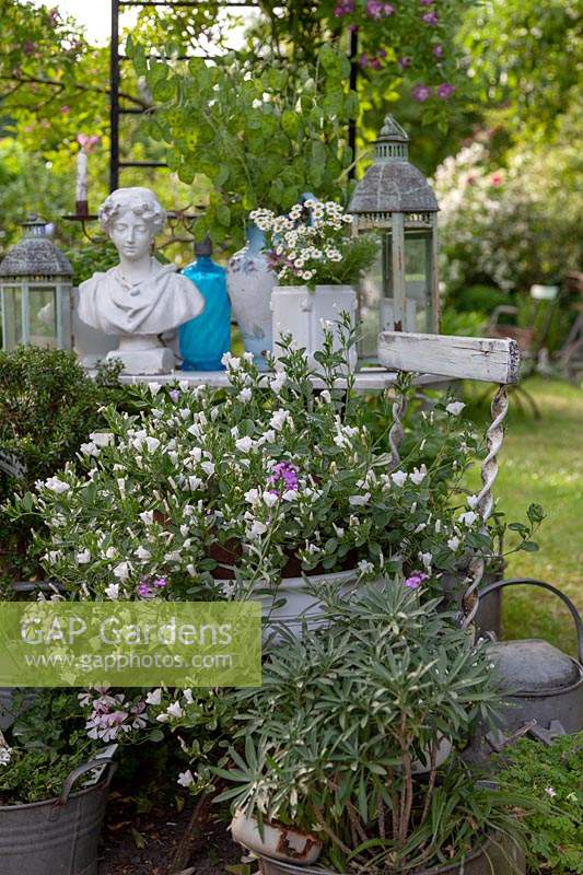 Vintage recycled containers and other collectables arranged in a garden

