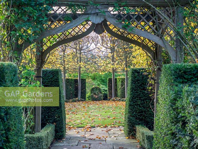Looking through the arch to the the pleached Tilia - Lime trees 