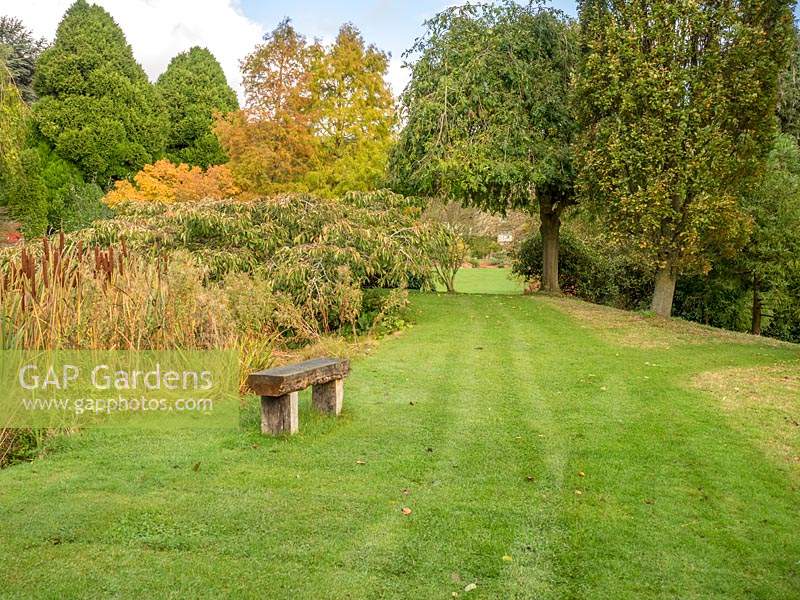 Wooden seat in formal garden. 