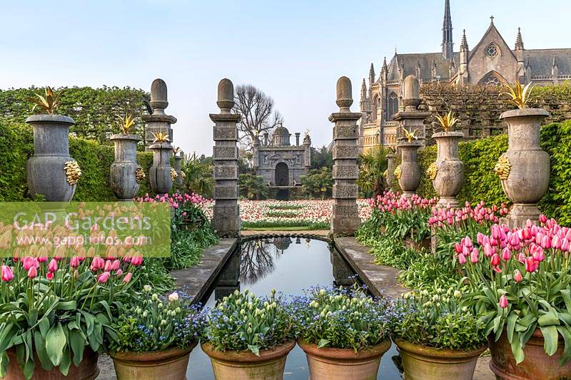 Classic pool and water feature surrounded by flowering tulips. The Tulip festival at Arundel Castle, Sussex, UK. 