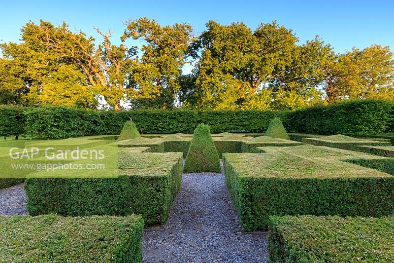 A geometric Box topiary garden. Walcott House, Norfolk, UK.