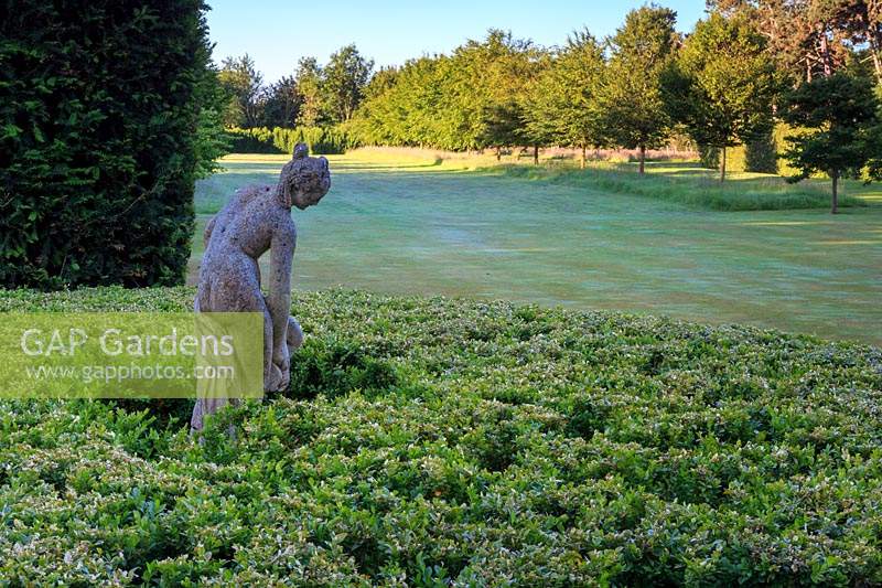 Classical statue surrounded by clipped Buxus sempervirens - Common Box - with view over croquet lawn. 

