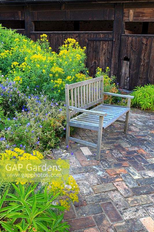 Wooden bench on herringbone brick paving in the Euphorbia garden. Walcott House, Norfolk, UK.