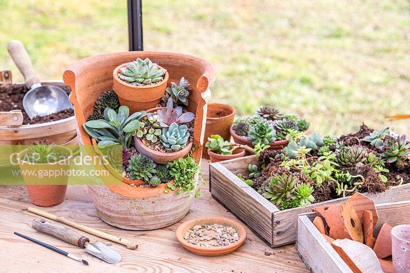 Finished succulent landscape pot with tools on workbench. 