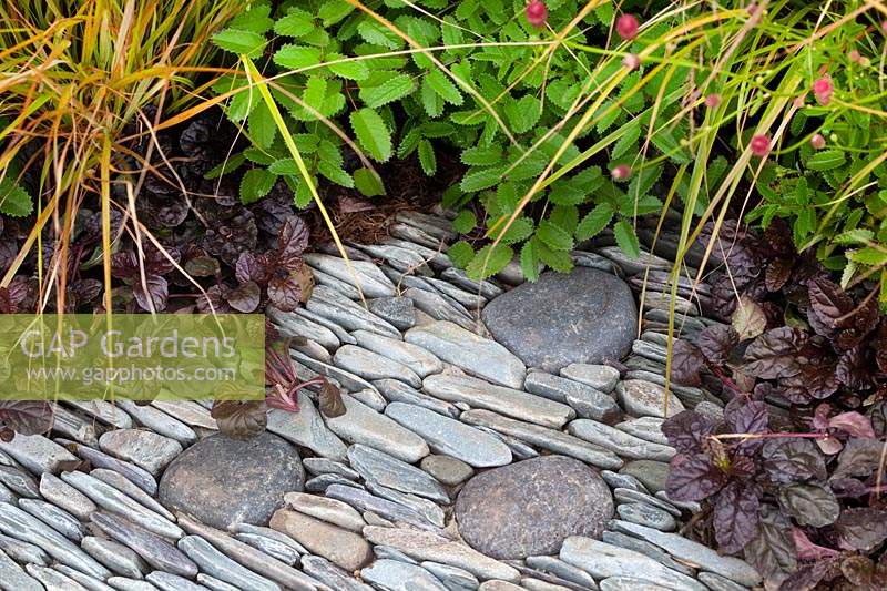 ajuga reptans 'Mahogany'planted between paving stones in The View Within - RHS Tatton Flower Show 2016