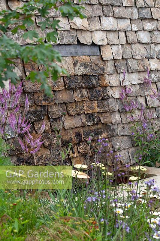 Contemporary planting set against a traditional Cotswold stone wall in Cotswold Connections - RHS Tatton Flower Show 2016