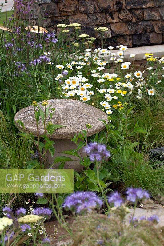 Stone toadstool amidst contemporary planting set against a traditional Cotswold stone wall in Cotswold Connections - RHS Tatton Flower Show 2016
