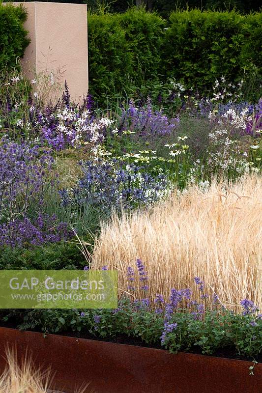 Contemporary purple planting contrasting with grasses. 'A Home From Home' Garden - RHS Tatton park Flower Show, 2016. 