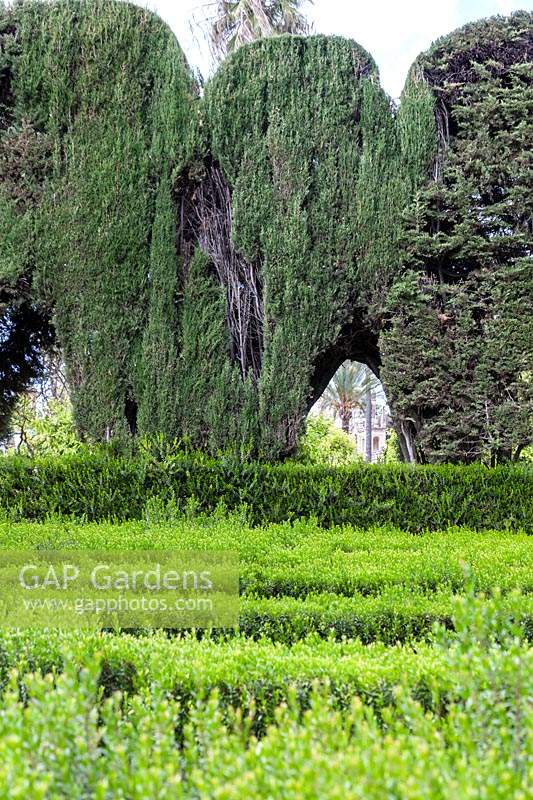 The Maze Garden with hedges of Myrtus - Myrtle. Alcazar Palace Gardens, Seville, Spain. 