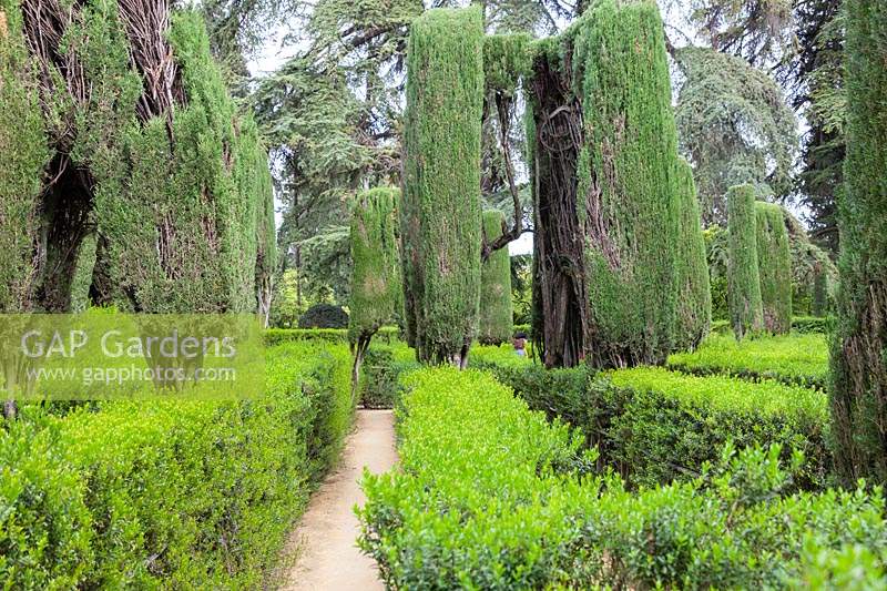 The Maze Garden with hedges of Myrtus - Myrtle. Alcazar Palace Gardens, Seville, Spain.