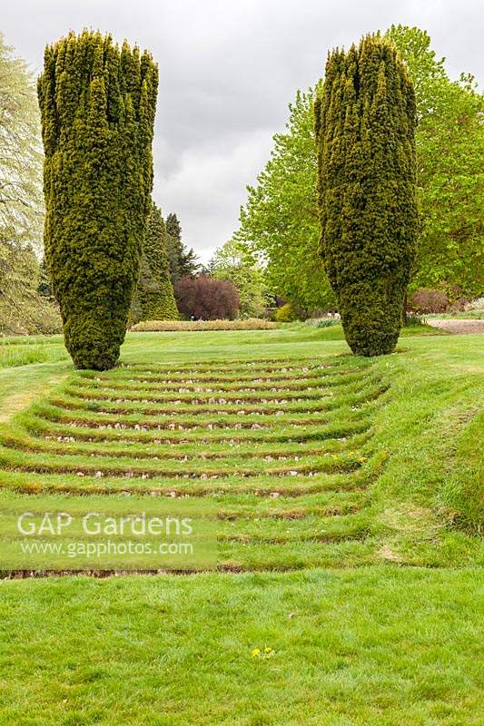 Grassed steps lead up between two columns of Taxus baccata fastigata - Irish Yew. Miserden garden, near Stroud, Gloucestershire, UK.

