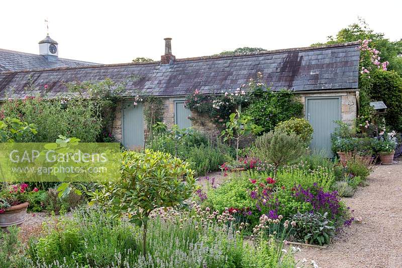 The herb garden with summer pots at Batcombe House, Somerset, UK. 
