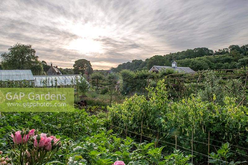 View across the kitchen garden towards greenhouses under a dramatic sky
