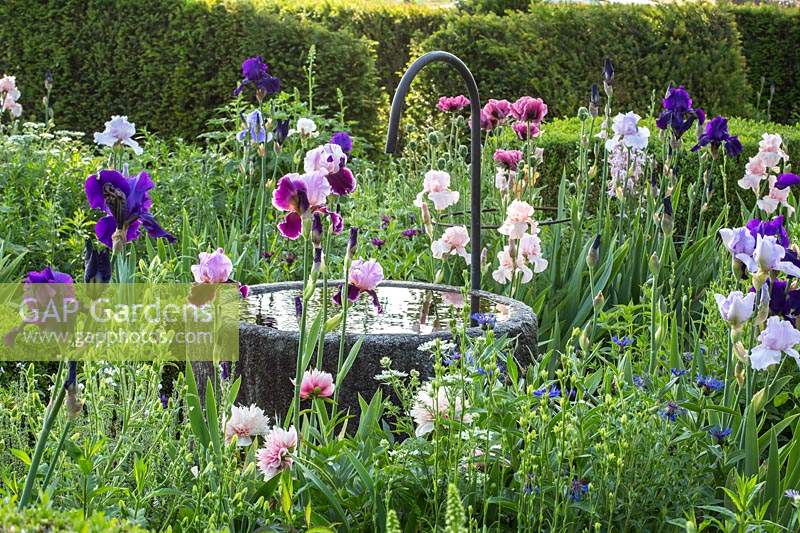 Granite water well in the middle of mixed summer border