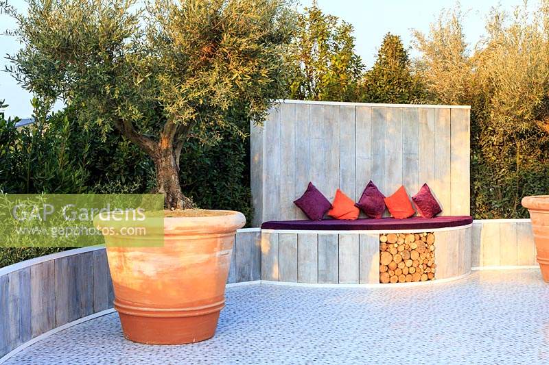 The Retreat, show garden featuring mature Olive trees - Olea europaea -
 in terracotta pots,  and a backdrop of Bay - Laurus nobilis. 
Ceramic tiling on the floor and a lime-washed wooden semi-circular seat
 with purple cushions which doubles as a decorative log store for the heated spa.