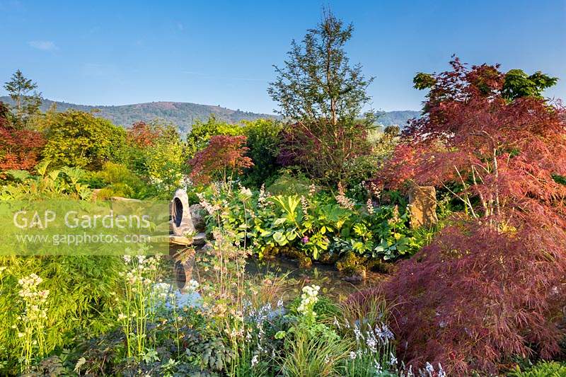 A Meditation Garden, view to the focal stone sculpture on rocks 
reflected in water. A show garden with distant backdrop of hills. 
Planting includes: Acer palmatum 'Shindeshojo', Acer palmatum 'Dissectum 
Atropurpureum', Metasequoia glyptostroboides - Dawn Redwood, Gunnera manicata, 
Rodgersia aesculifolia and Hosta.  Acer palmatum dissectum 'Viridis', 
Aquilegia 'Nora Barlow' and Enkianthus campanulatus in the foreground.
