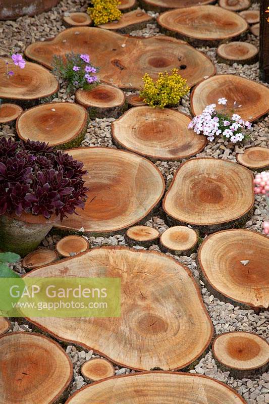 Decorative path or paving made from tree trunk slices in gravel