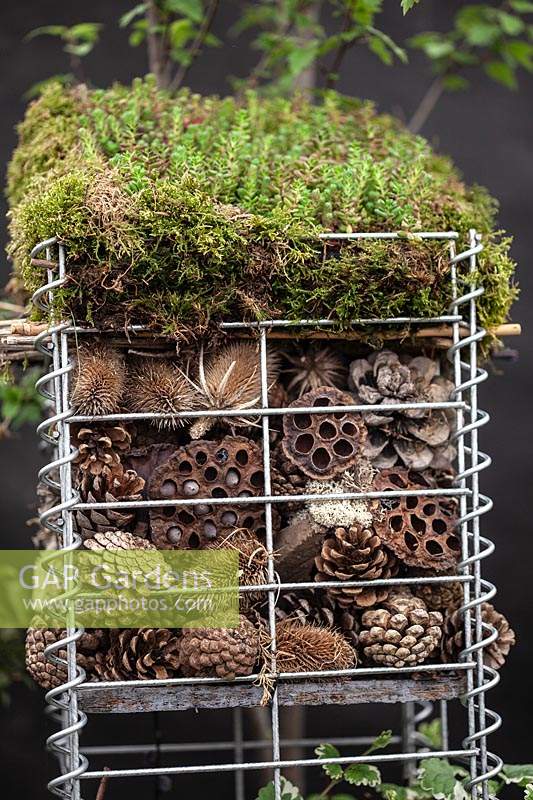 Gabions filled with seedheads, cones and teasels, topped with moss