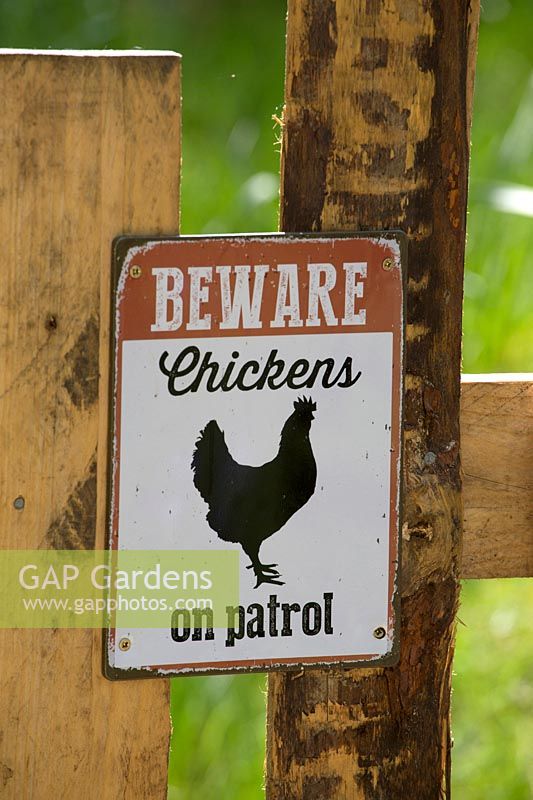 Humorous chicken sign on fence. 