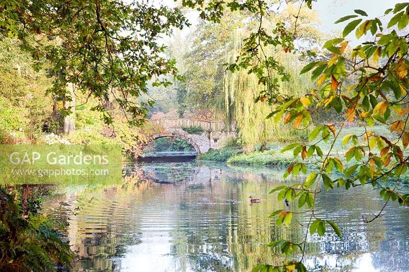 View of Lady Eleanor's Bridge over river in autumn garden. Minterne Gardens, Dorset, UK.
