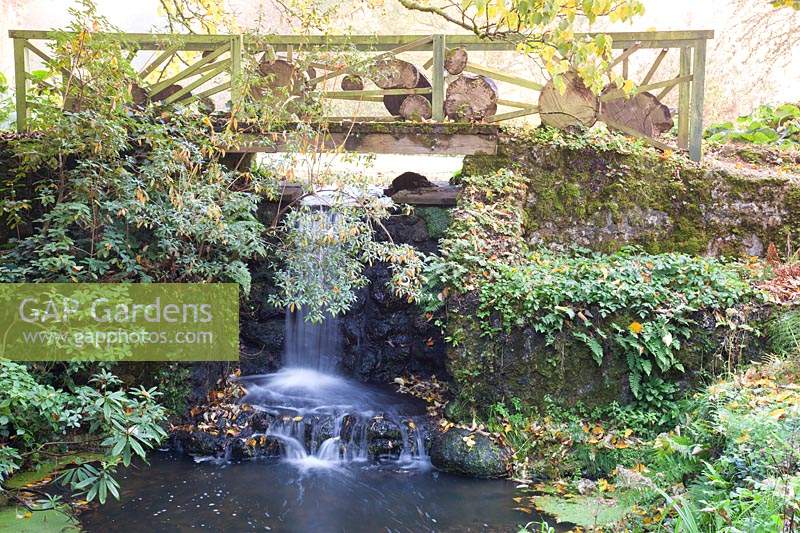 Decorative wooden bridge over waterfall in autumn garden. Minterne Gardens, Dorset, UK.
