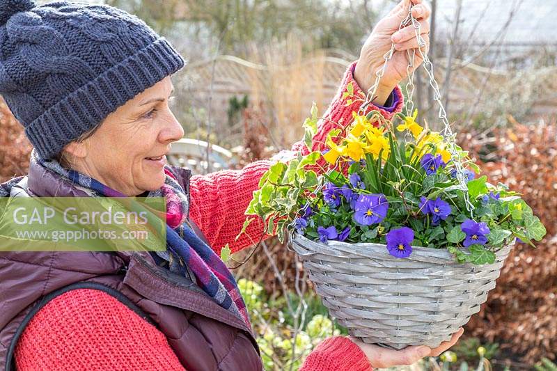 Woman hanging newly planted spring hanging basket from bracket in garden.
