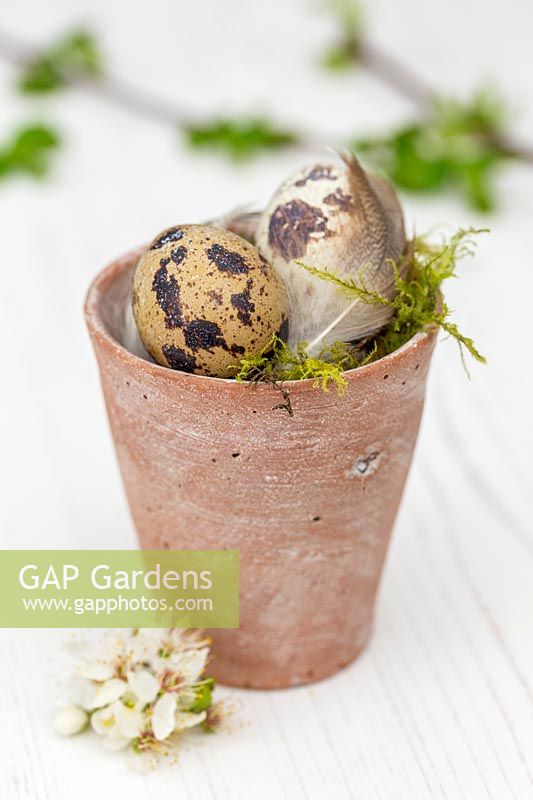 Eggs in terracotta pot decorated with flowers and feathers