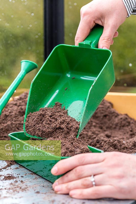Woman filling seed tray with compost using a scoop