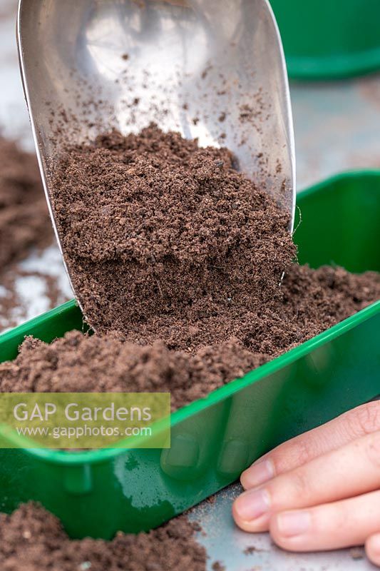 Woman adding compost to seedtray using a scoop