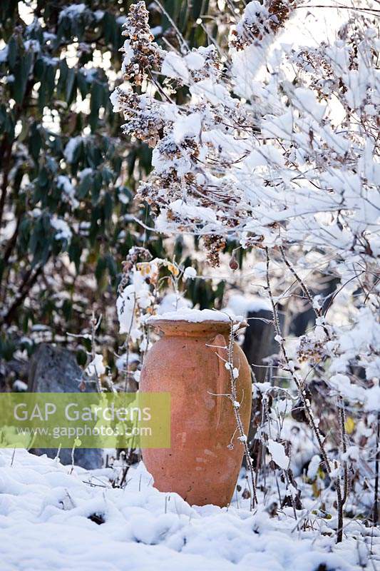 Decorative terracotta urn in winter garden