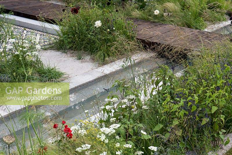 A rill edged with white Laceflower, Orlaya grandiflora, salvias, fennel and grasses, with a wooden bridge crossing the water. The Style and Design Garden, designed by Ula Maria, sponsored by London Mosaic CED Garden Brocante Online, RHS Hampton Court Palace Garden Show, 2018.
