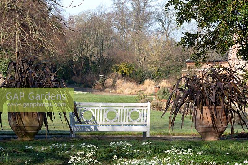 A white garden bench flanked by terracotta pots planted with Phormium tenax 'Atropurpureum' - Bronze New Zealand Flax.