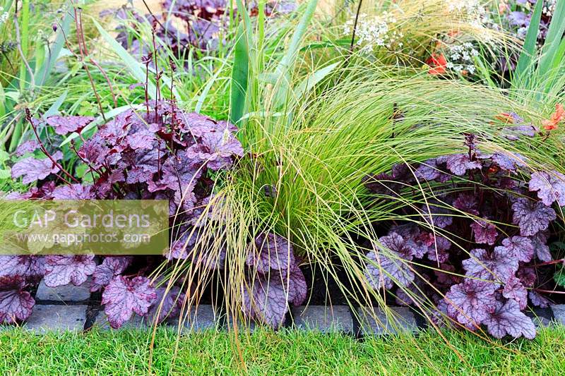 Mixed planting including Heuchera 'Plum Pudding, and Stipa tenuissima. The Red Shift Garden, designed by Julie Bellingham. RHS Malvern Spring Festival, 2019.


