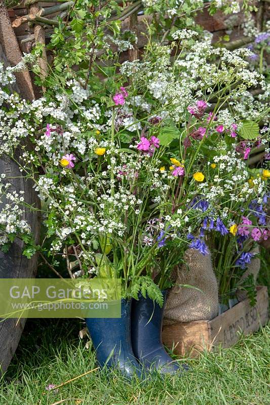 Wildflowers in boots on 'Sophie's Country Garden Flowers' display  