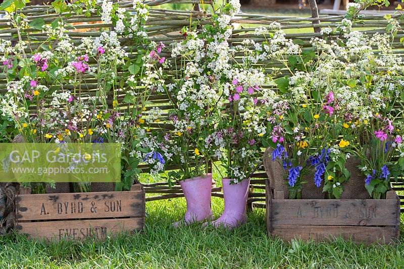 Wildflowers on 'Sophies Country Garden Flowers' display 