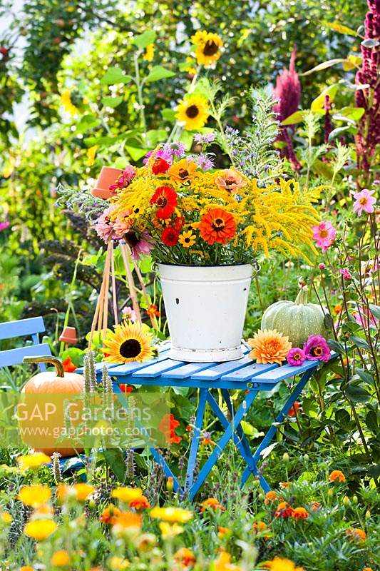 Bucket of summer flowers including Zinnias, Rudbeckia, Solidago, Monarda, Dahlia and Helianthus - Sunflowers, on table in wild garden.
