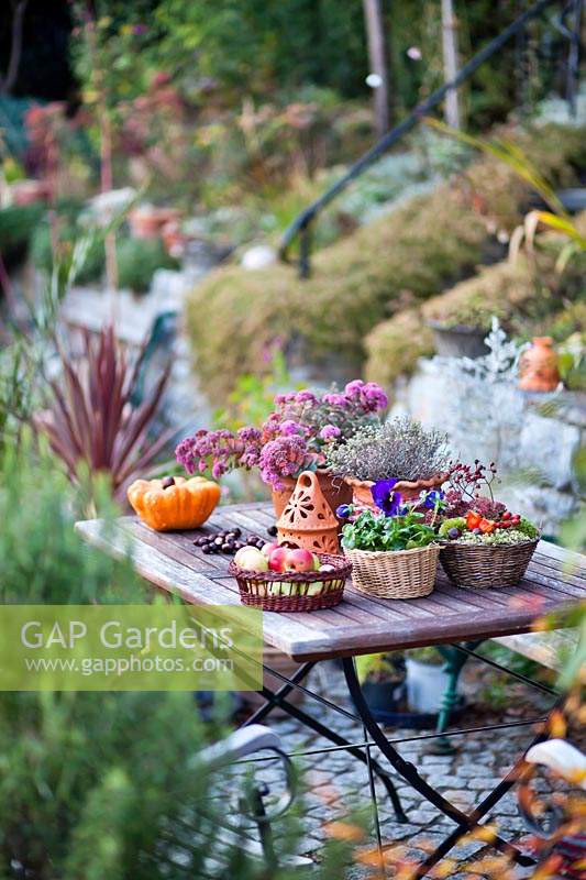 Autumn arrangement on a outdoor table. 