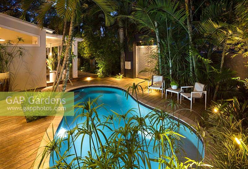 Garden at night with lights, features swimming pool, wooden decking, 
tropical planting of palms, bromeliads and Papyrus plants