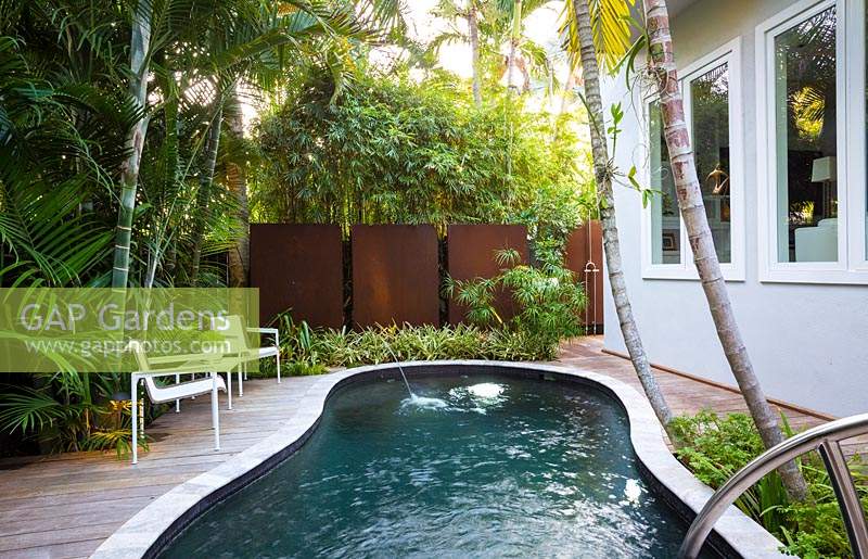 Small urban garden designed with privacy in mind, swimming pool with travertine coping and deck near house with palms and other tropical foliage near boundary 