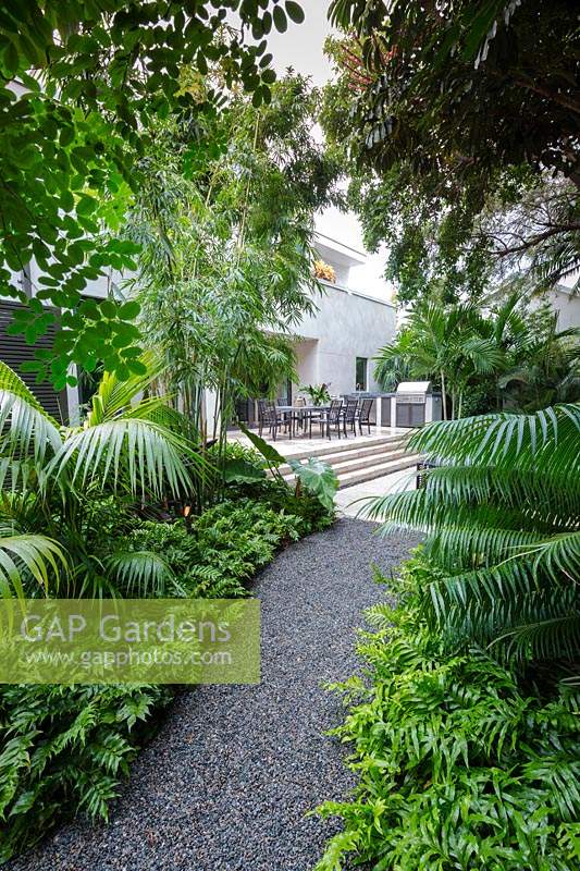 Lush, tropical borders edging path, leading towards patio. Florida, USA. Garden design by Craig Reynolds Landscape Architecture.