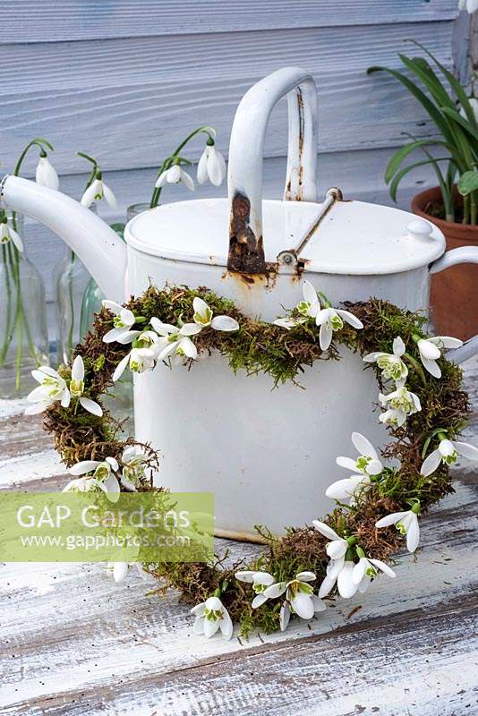 Mossed heart-shaped wreath decorated with Galanthus flowers - Snowdrops - leaning against white, rusty watering can. 