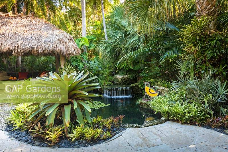 Chickee hut, pool with water feature and giant Bromeliad. The Jones Residence, Key West, Florida, USA. Garden design by Craig Reynolds.
