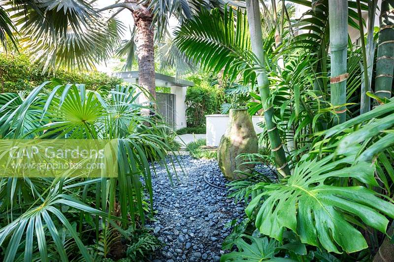 Tropical garden with palms. The Jones Residence, Key West, Florida, USA. Garden design by Craig Reynolds.