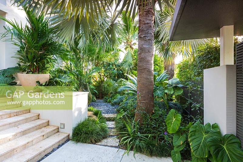 Tropical garden with palms. The Jones Residence, Key West, Florida, USA. Garden design by Craig Reynolds.
