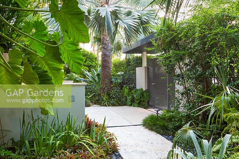 Lush tropical planting in modern garden. The Jones Residence, Key West, Florida, USA. Garden design by Craig Reynolds.